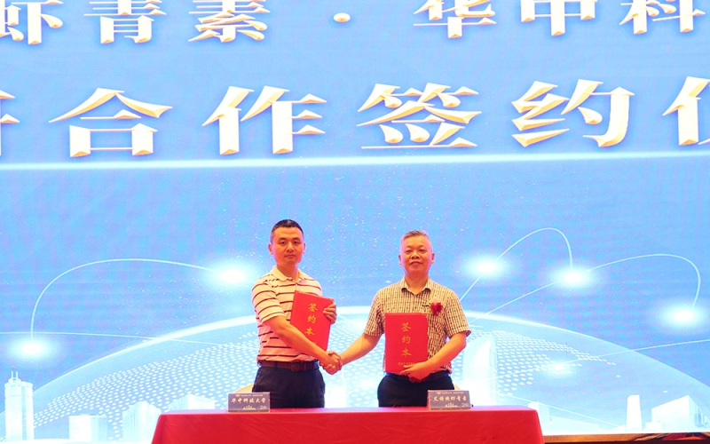 天然蝦青素抗血栓研究